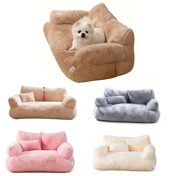 Pets Cute Couch