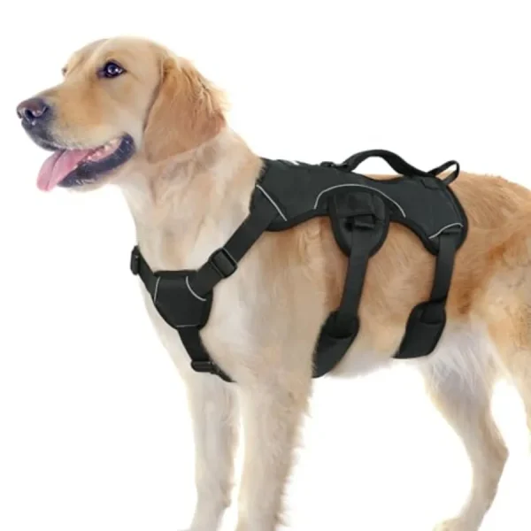 Escape Proof Dog Harness for Large Dog