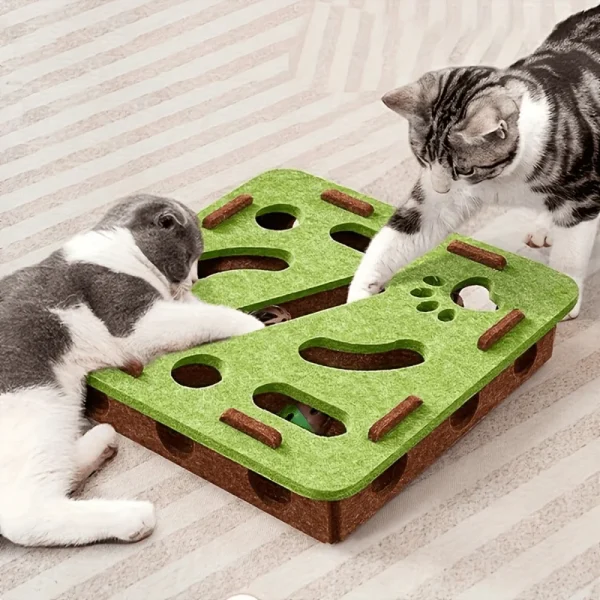 Cat Puzzle Toy